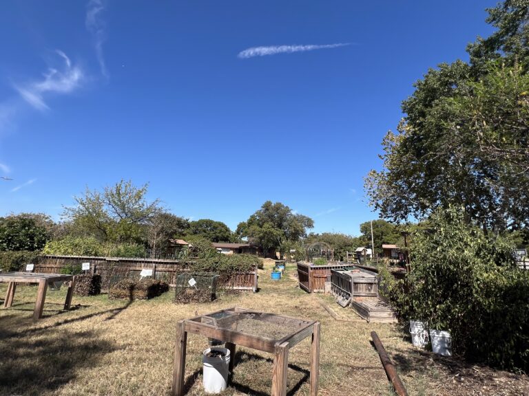 Pop-Up: Ridglea Christian Church